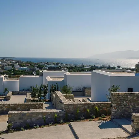 Anemone * Αμπελάς