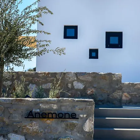 Willa Anoterra -anemone Ambelas